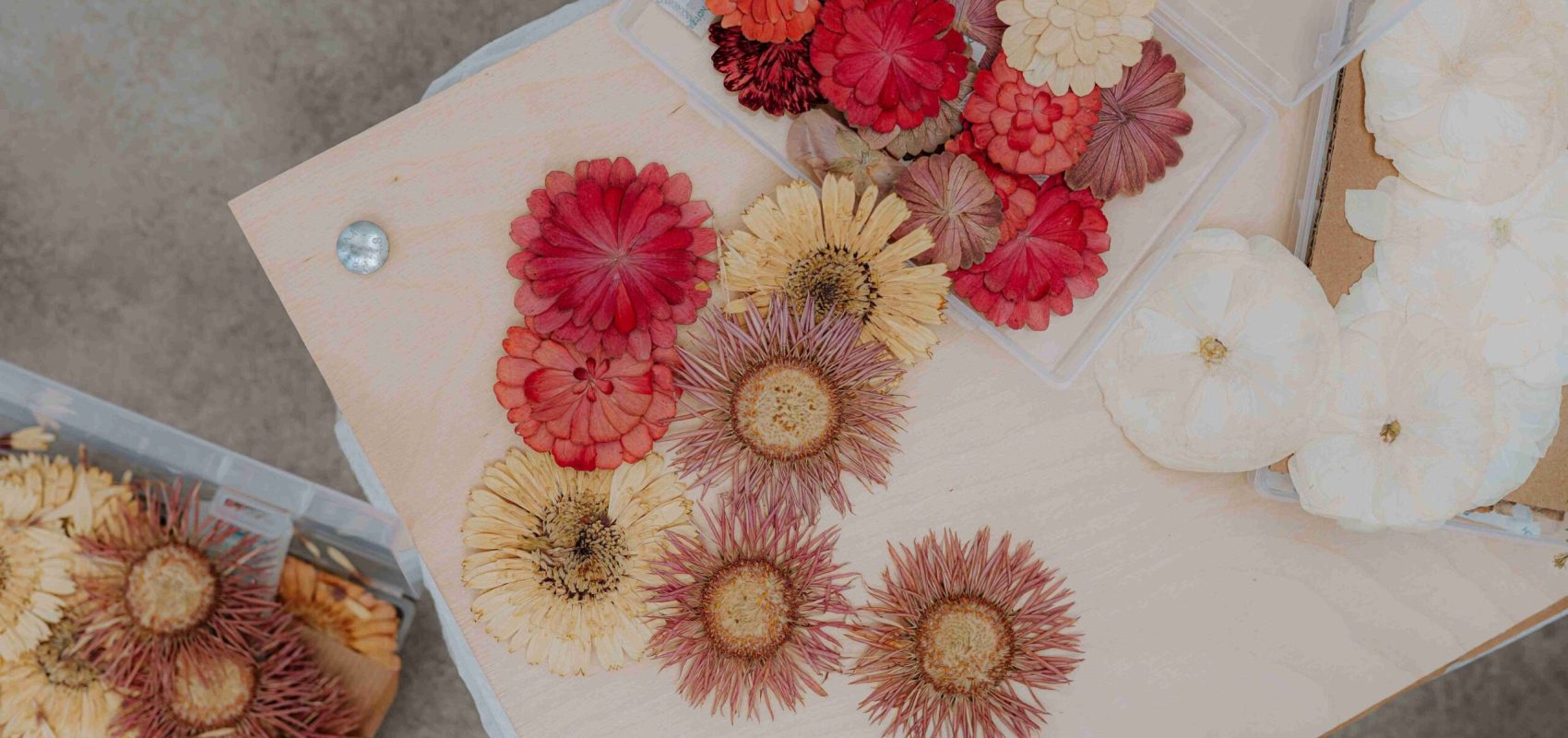 kwiatowe poletko | o mnie | konserwacja bukietów ślubnych | kwiaty w szkle | pamiątka ślubna